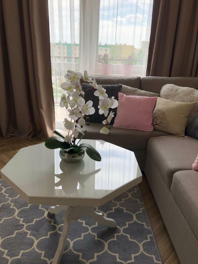 Family & Business Elegant Apartments Ul Warszawska - 2 Bedroom, Balcony, Parking Кельце Экстерьер фото